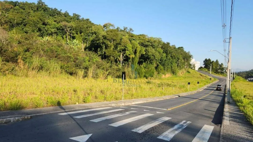 Terreno Residencial à venda, Salto do Norte, Blumenau - TE0064. — foto 6