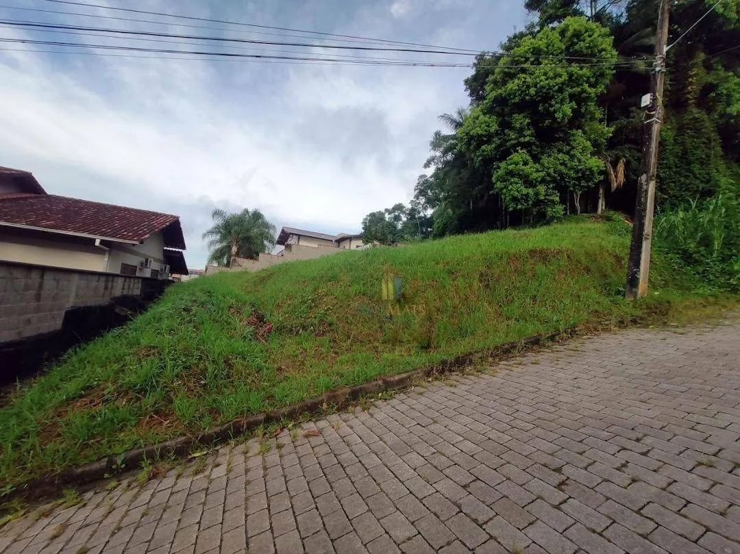 Terreno Residencial à venda, Escola Agrícola, Blumenau - TE0058. - foto 1