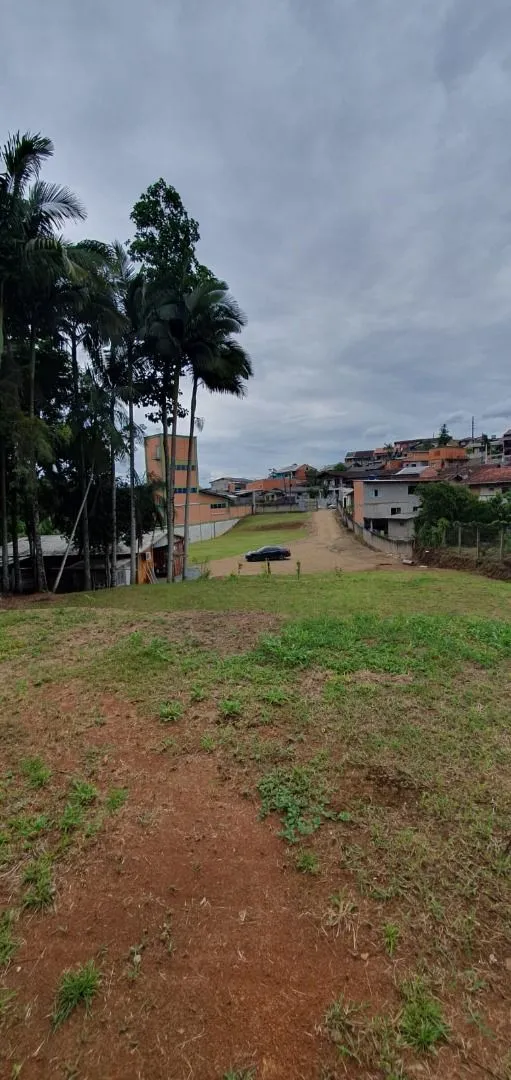 Terreno à venda, 3055 m por R$ 1.500.000,00 - Salto - Blumenau/SC — foto 2