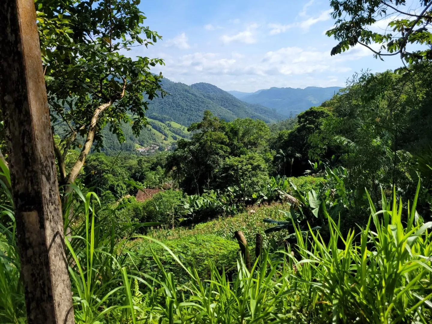 Terreno à venda, 158000 m por R$ 510.000,00 - Ribeirão dos Russos - Benedito Novo/SC - foto 1