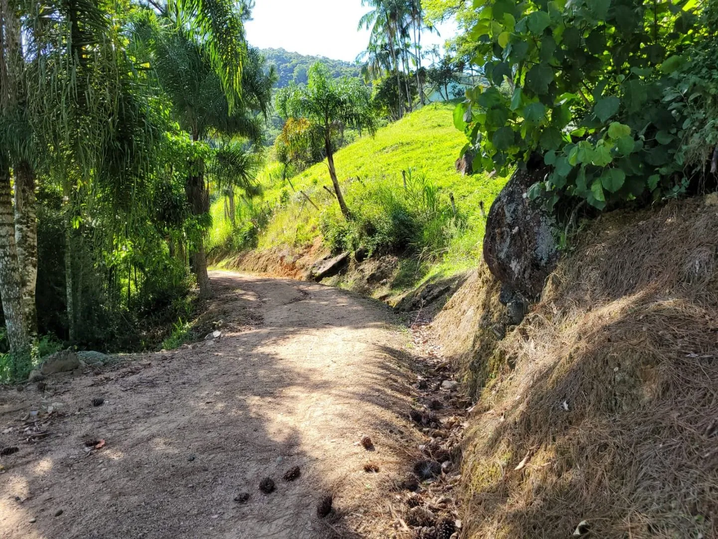 Terreno à venda, 158000 m por R$ 510.000,00 - Ribeirão dos Russos - Benedito Novo/SC — foto 2