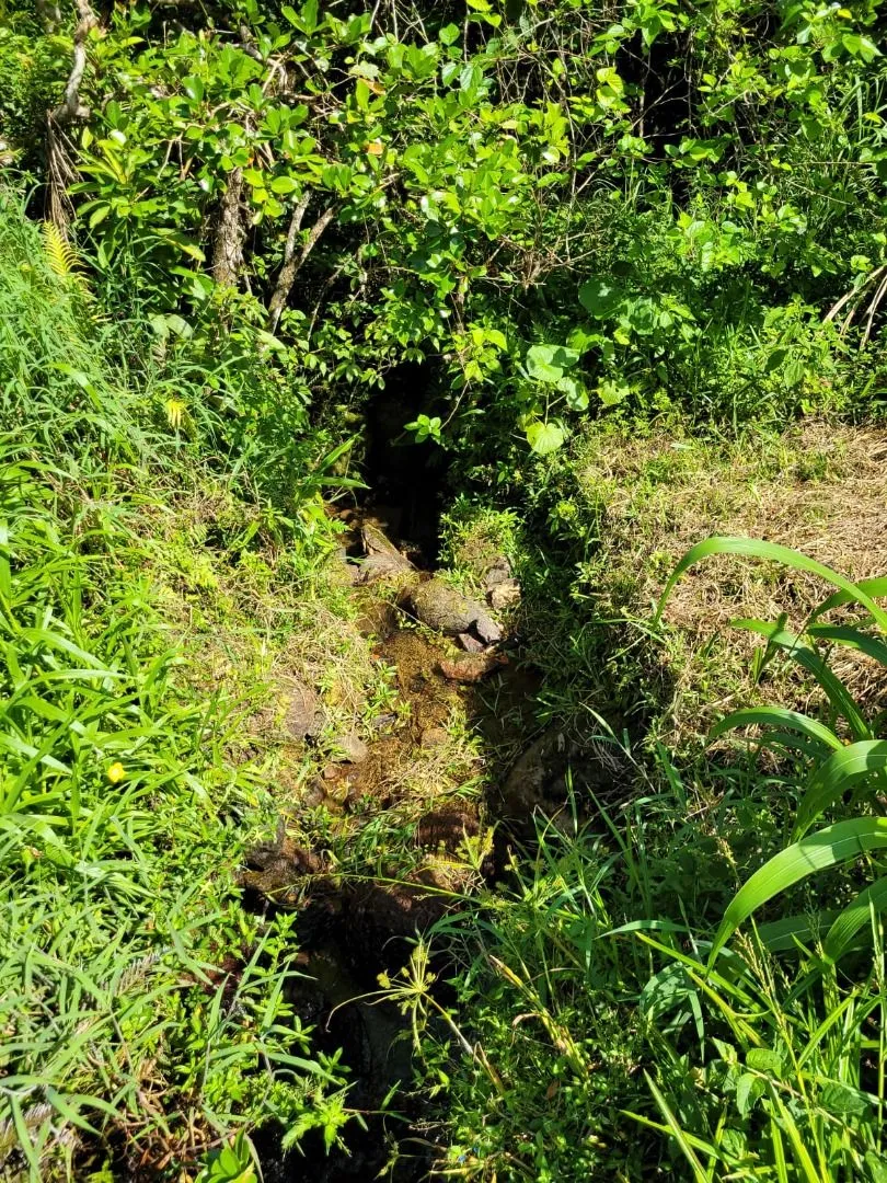 Terreno à venda, 158000 m por R$ 510.000,00 - Ribeirão dos Russos - Benedito Novo/SC — foto 3