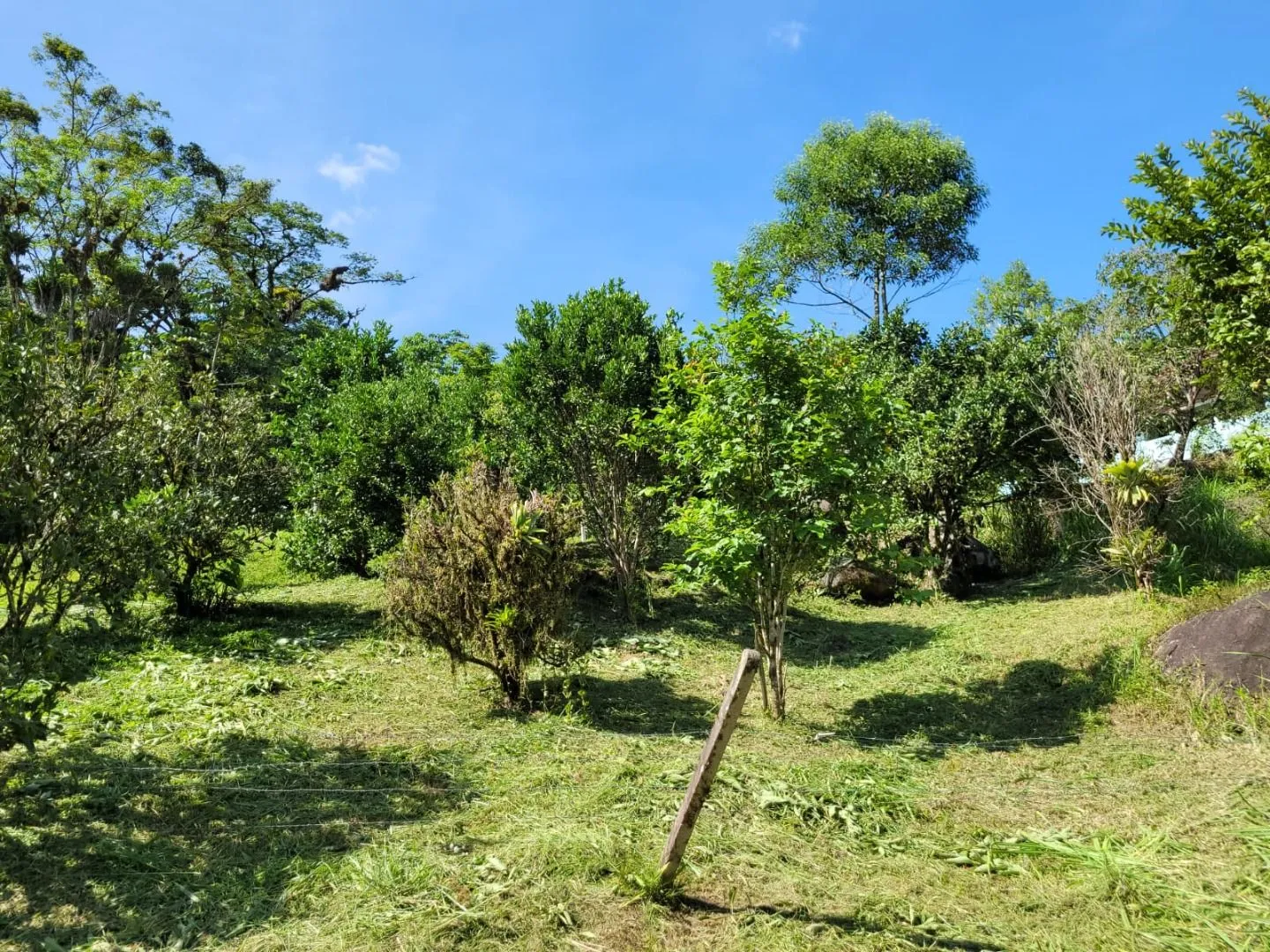 Terreno à venda, 158000 m por R$ 510.000,00 - Ribeirão dos Russos - Benedito Novo/SC — foto 4