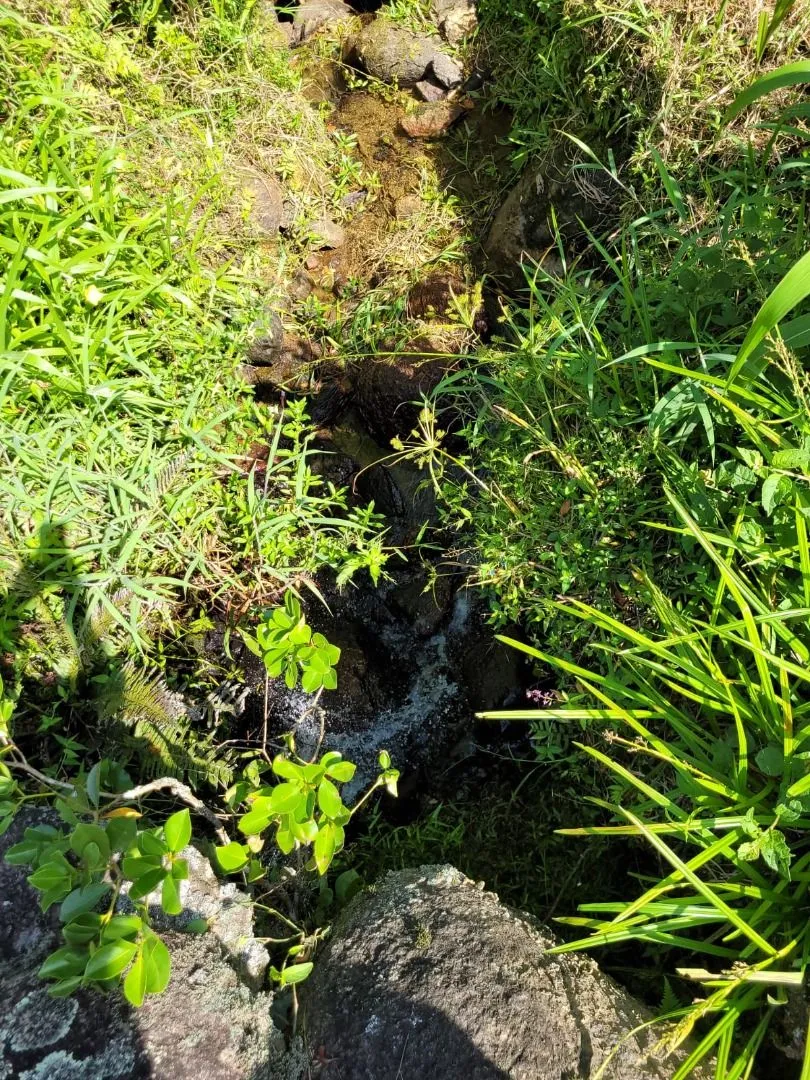 Terreno à venda, 158000 m por R$ 510.000,00 - Ribeirão dos Russos - Benedito Novo/SC — foto 6