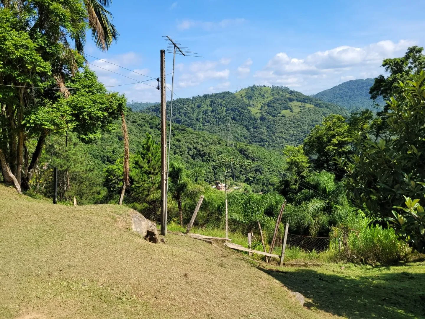 Terreno à venda, 158000 m por R$ 510.000,00 - Ribeirão dos Russos - Benedito Novo/SC — foto 7