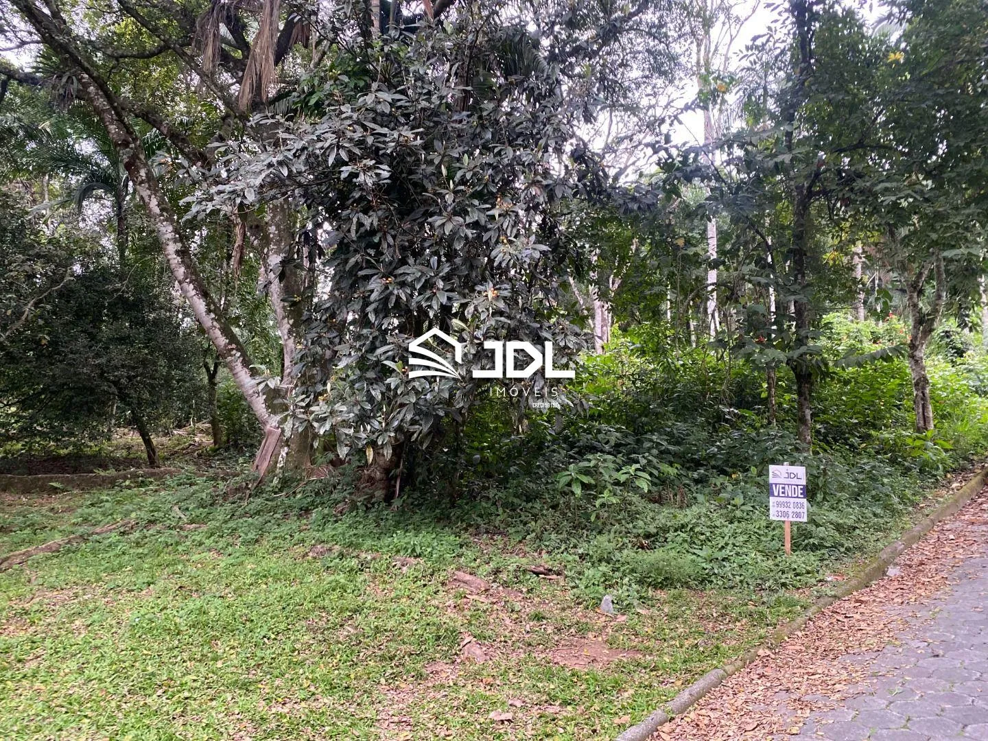Terreno à venda, 2494 m por R$ 799.990,00 - Velha Central - Blumenau/SC — foto 4