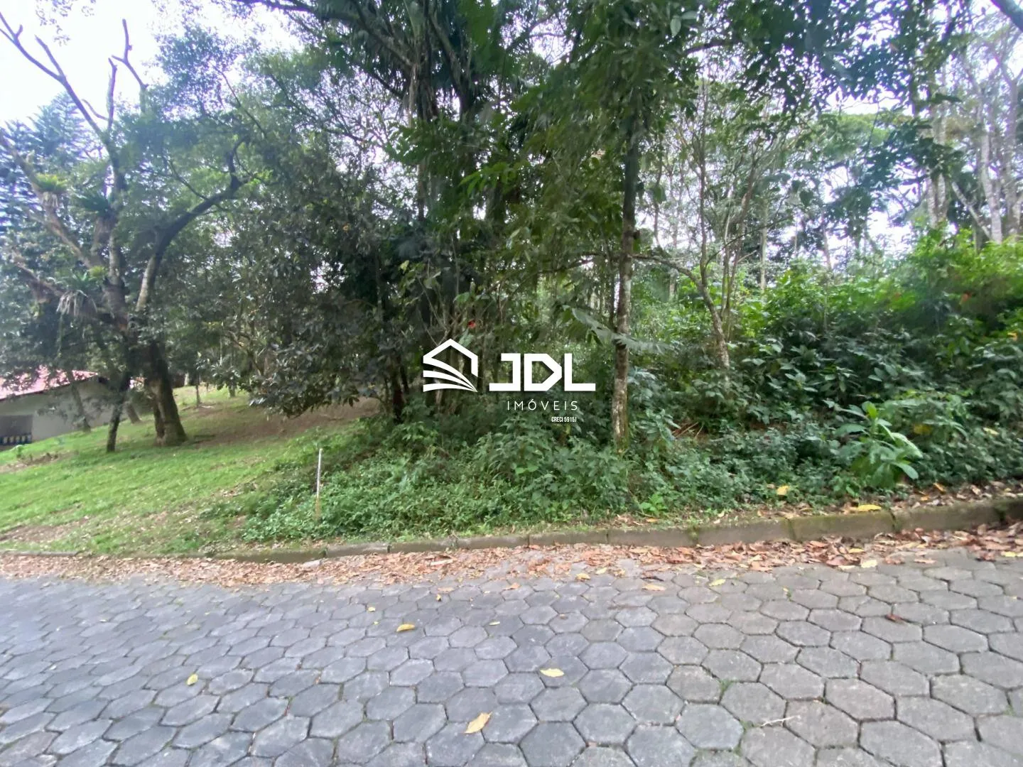 Terreno à venda, 2494 m por R$ 799.990,00 - Velha Central - Blumenau/SC — foto 5