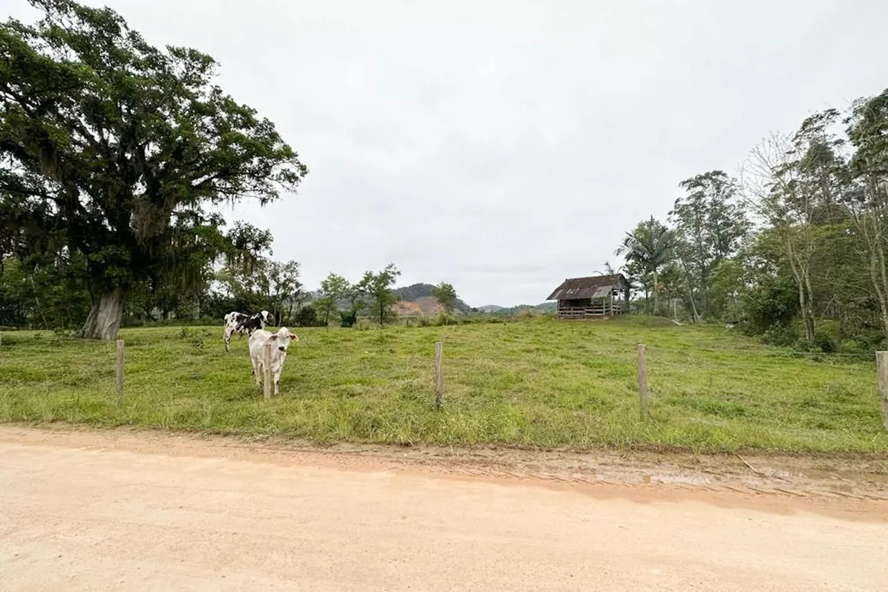 Terreno à venda, 33363 m por R$ 1.669.000,00 - Lagoa - Gaspar/SC — foto 2