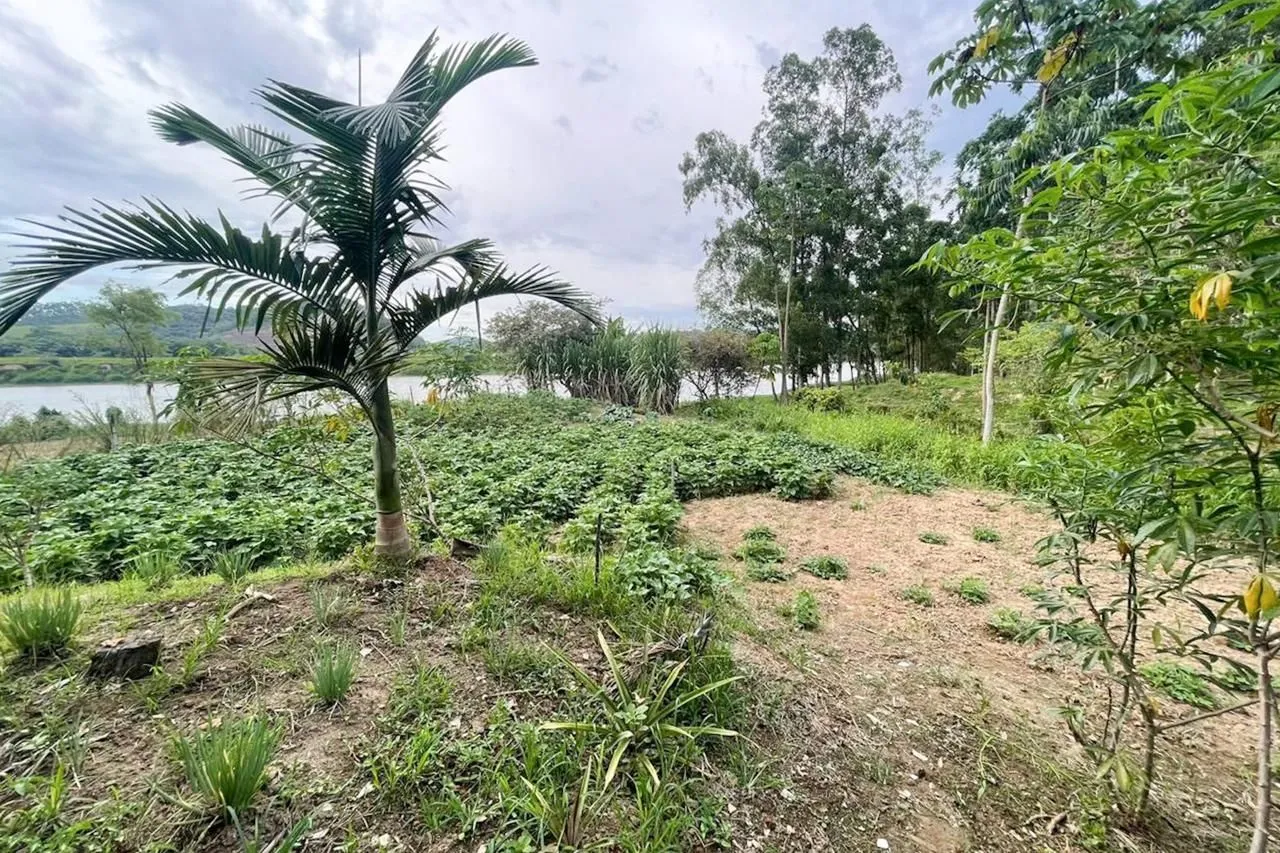 Terreno à venda, 33363 m por R$ 1.669.000,00 - Lagoa - Gaspar/SC — foto 4