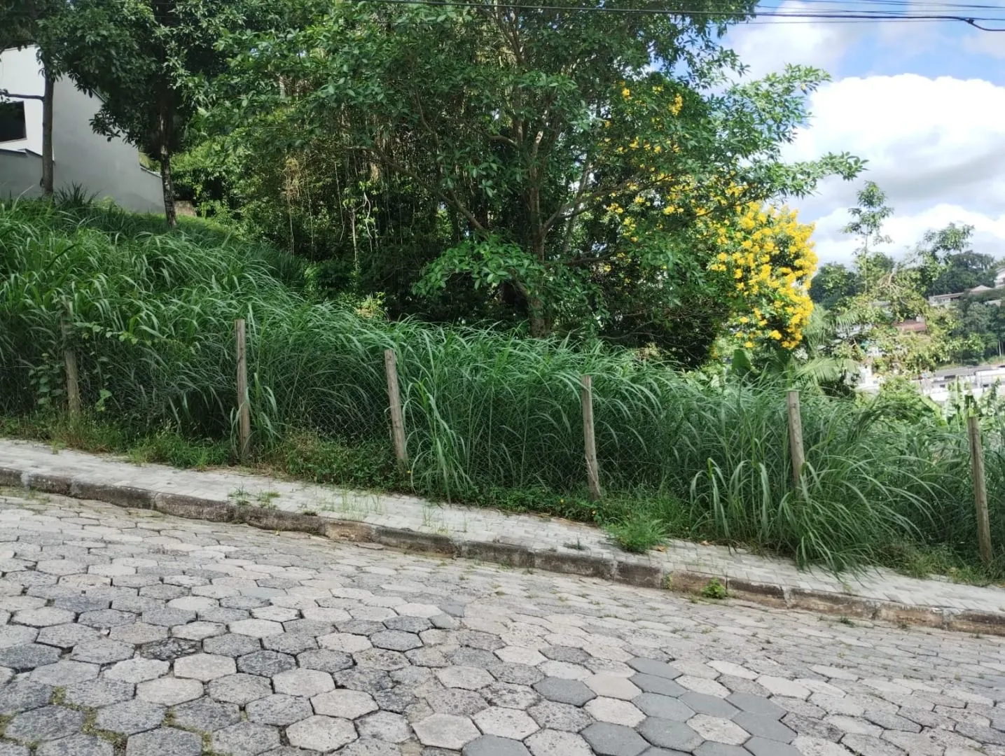 Terreno à venda, 1078 m por R$ 800.000,00 - Água Verde - Blumenau/SC — foto 4