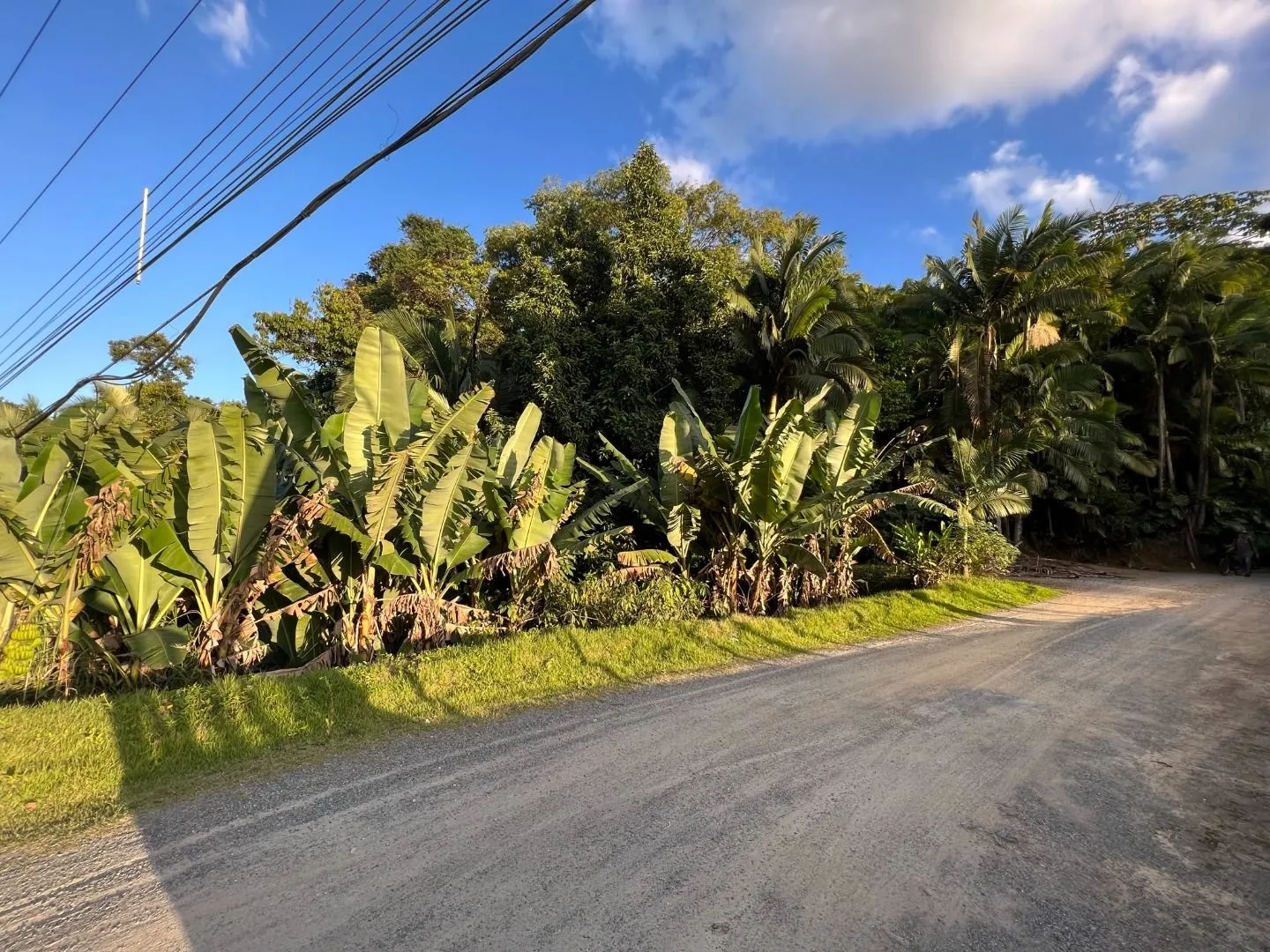 Terreno à venda, 14927 m por R$ 2.400.000,00 - Badenfurt - Blumenau/SC — foto 2