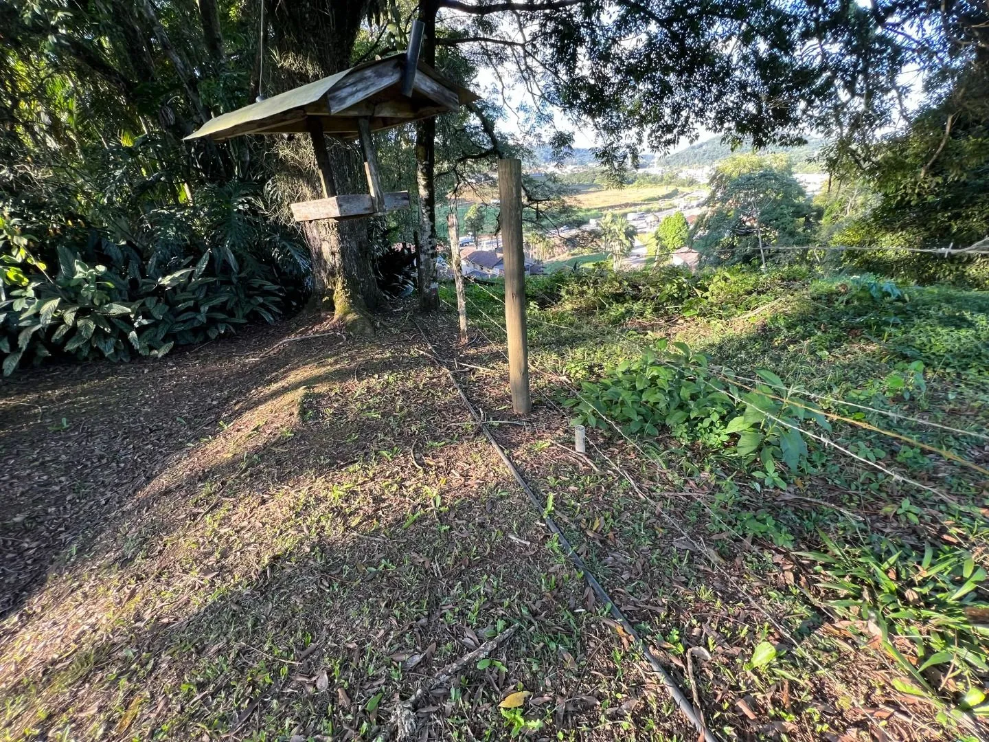 Terreno à venda, 14927 m por R$ 2.400.000,00 - Badenfurt - Blumenau/SC — foto 6