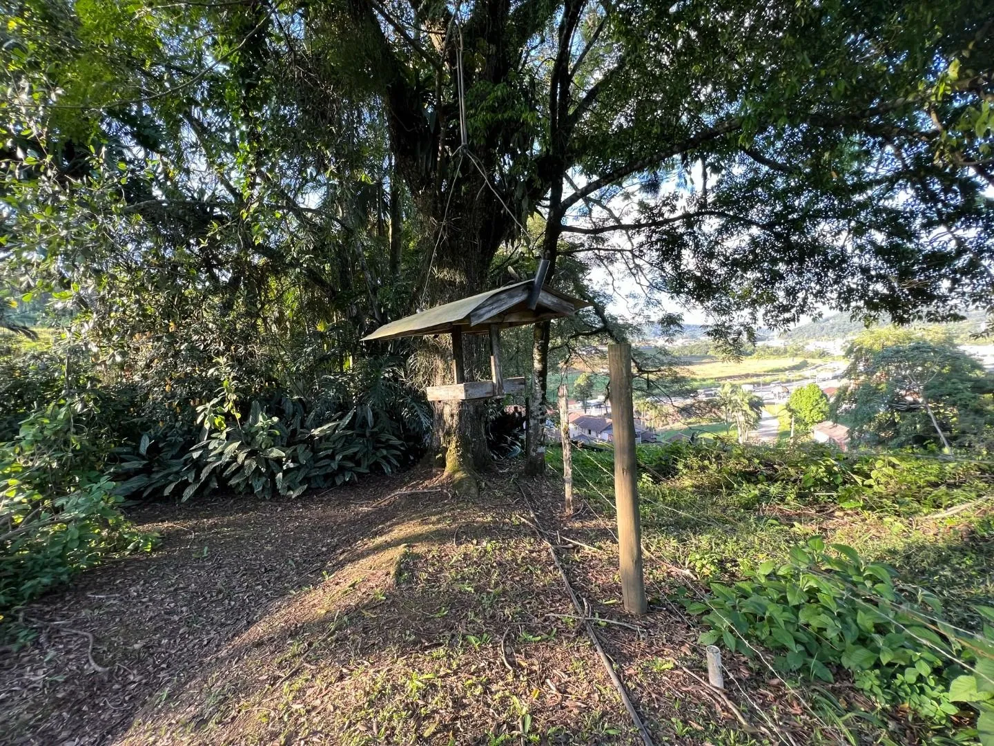 Terreno à venda, 14927 m por R$ 2.400.000,00 - Badenfurt - Blumenau/SC — foto 7