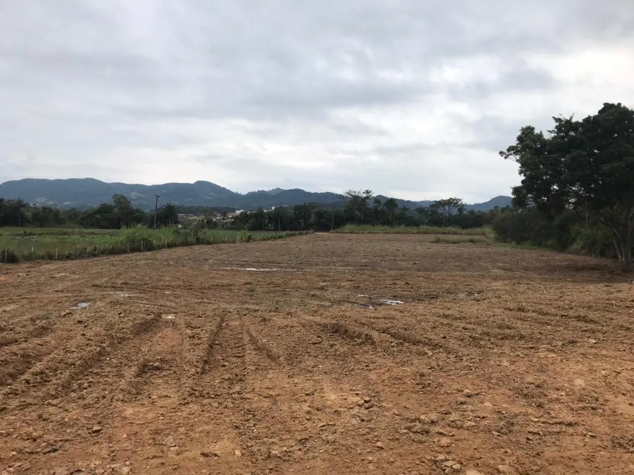 Terreno na BR 470 à venda, 21371 m por R$ 3.500.000 - Warnow - Indaial/SC — foto 5