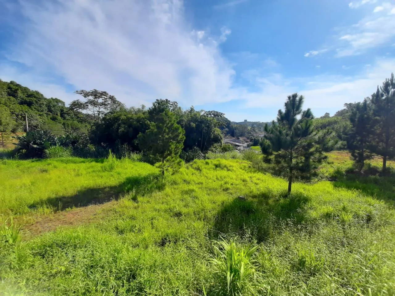 Terreno à venda, 5000 m por R$ 1.650.000,00 - Fortaleza Alta - Blumenau/SC — foto 2