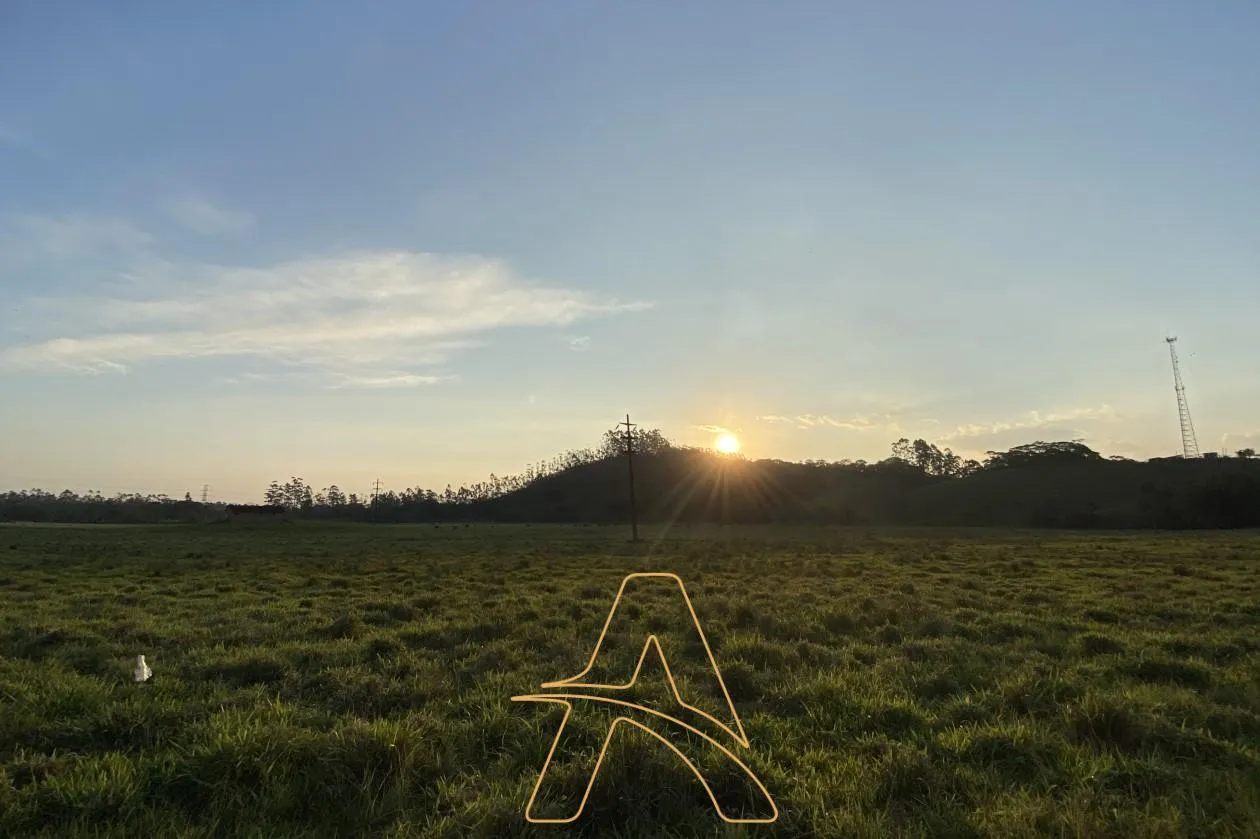 Área Rural à Venda no Bairro Lagoa – Acesso ao Rio Itajaí-Açu! — foto 4