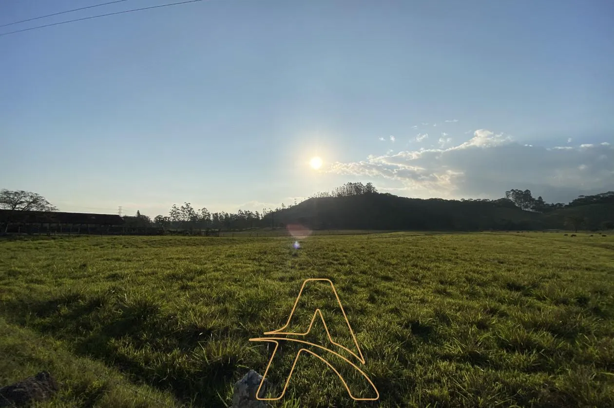 Área Rural à Venda no Bairro Lagoa – Acesso ao Rio Itajaí-Açu! — foto 5