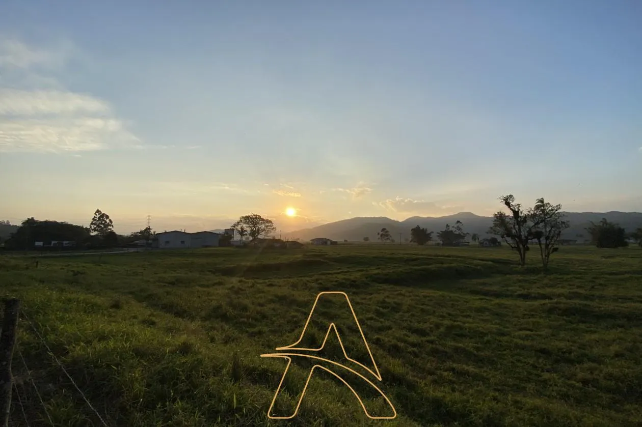 Imóvel Rural à Venda em Gaspar - Próxima a BR-470! — foto 3