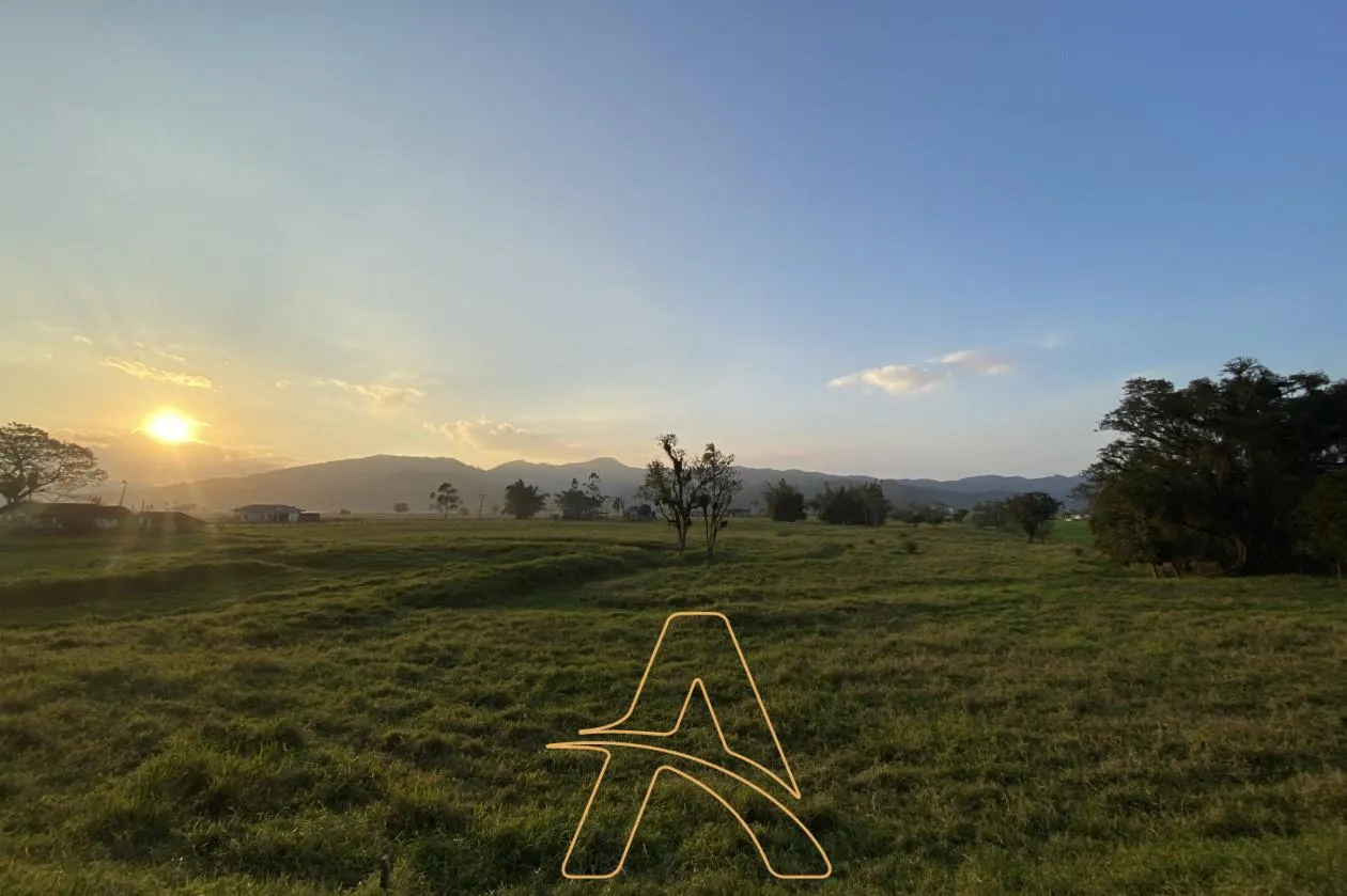Imóvel Rural à Venda em Gaspar - Próxima a BR-470! — foto 4
