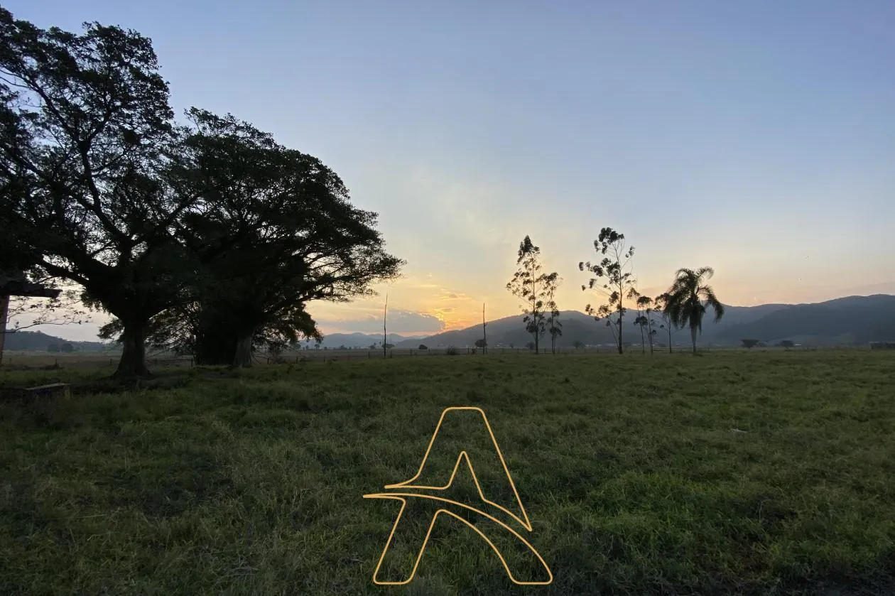 Imóvel Rural à Venda em Gaspar - Próxima a BR-470! — foto 6