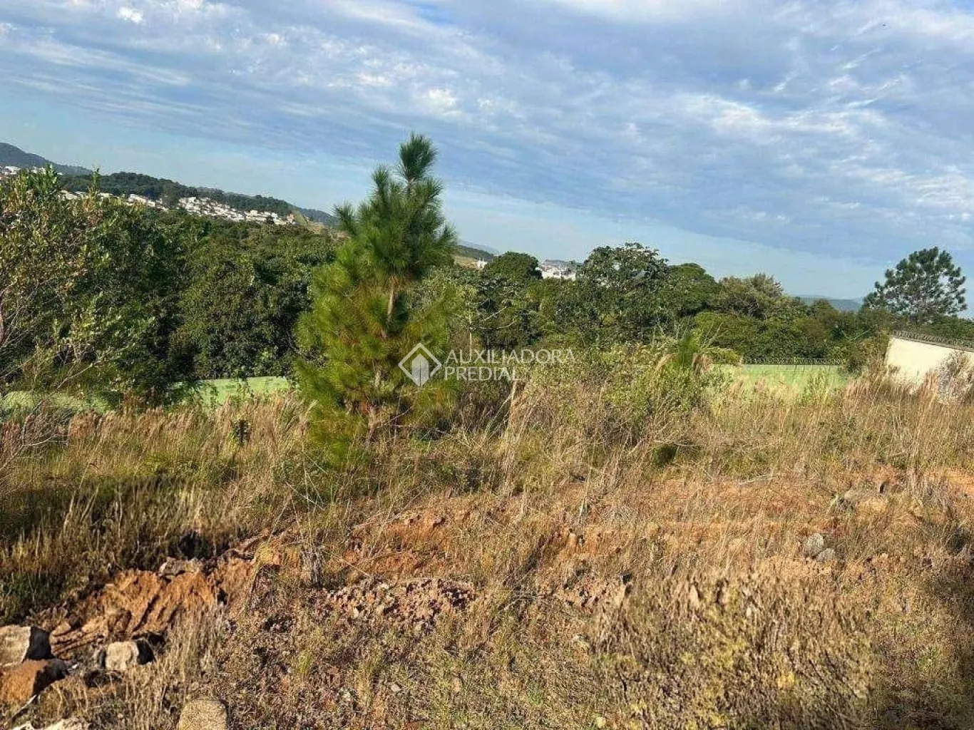 Imóvel — foto 5
