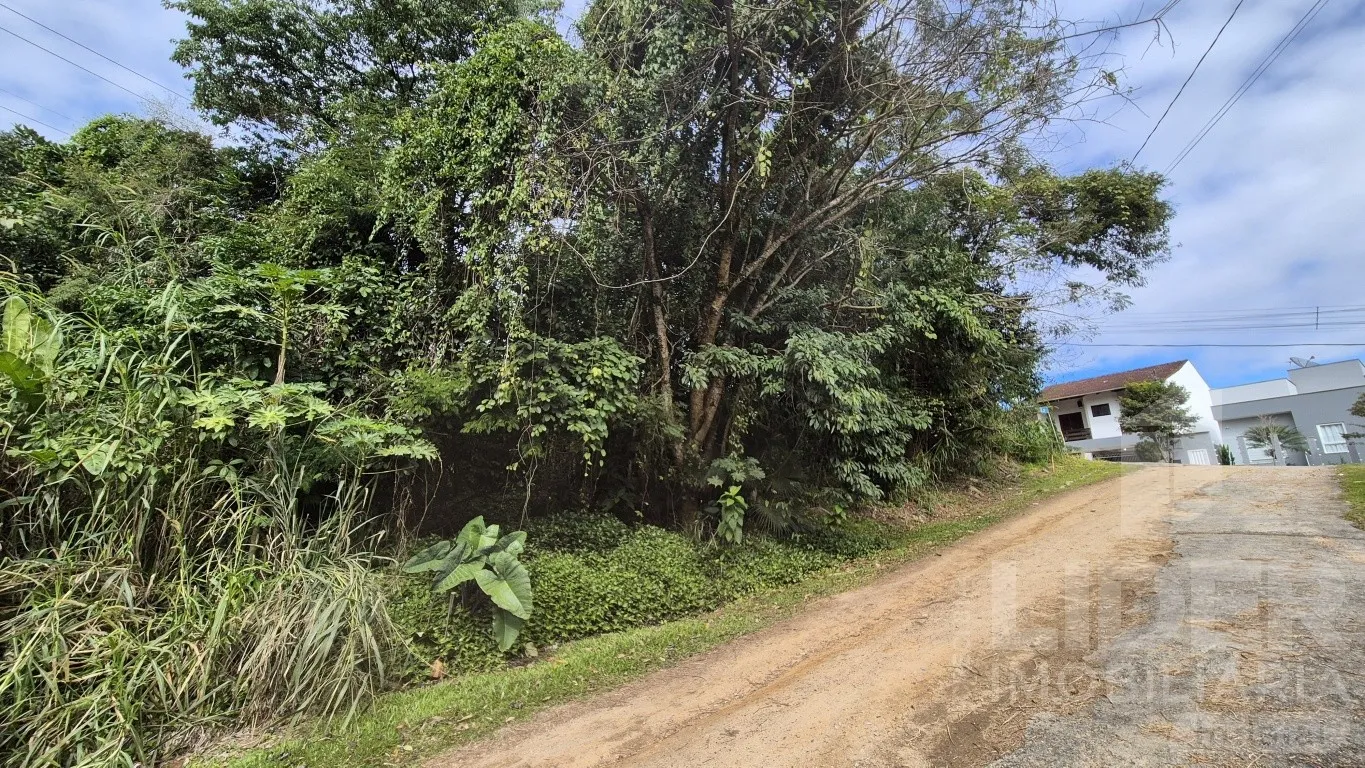 Terreno com 1.060.00m de área total e 458,00m de área útil — foto 6