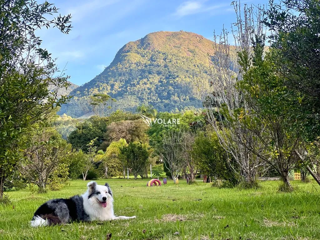 SÍTIO próximo ao morro da Pipa / A menos de 1h de Itapema SC. - foto 1