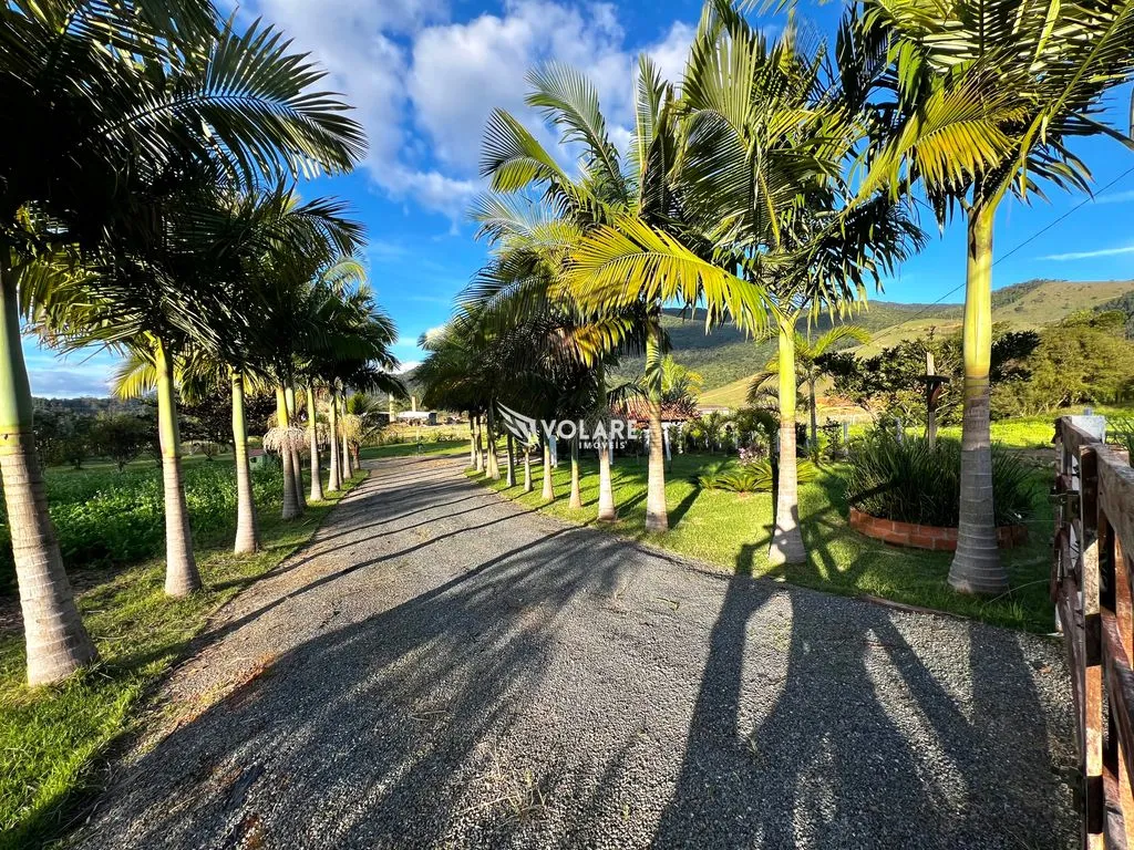 SÍTIO próximo ao morro da Pipa / A menos de 1h de Itapema SC. — foto 5