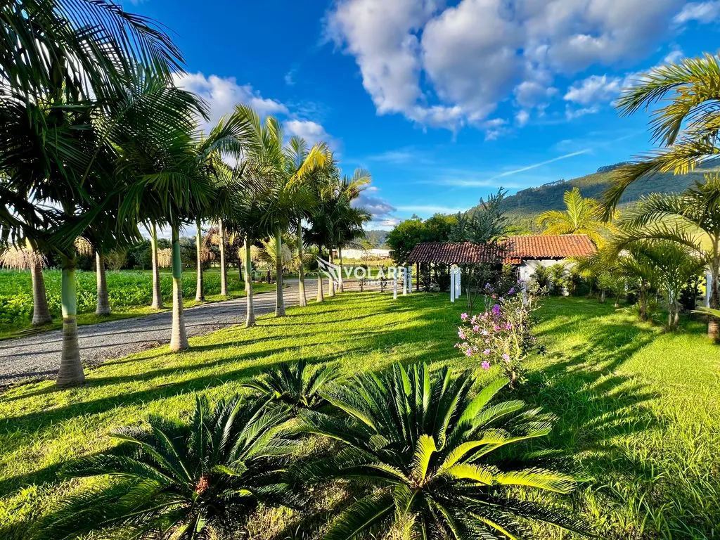 SÍTIO próximo ao morro da Pipa / A menos de 1h de Itapema SC. — foto 6