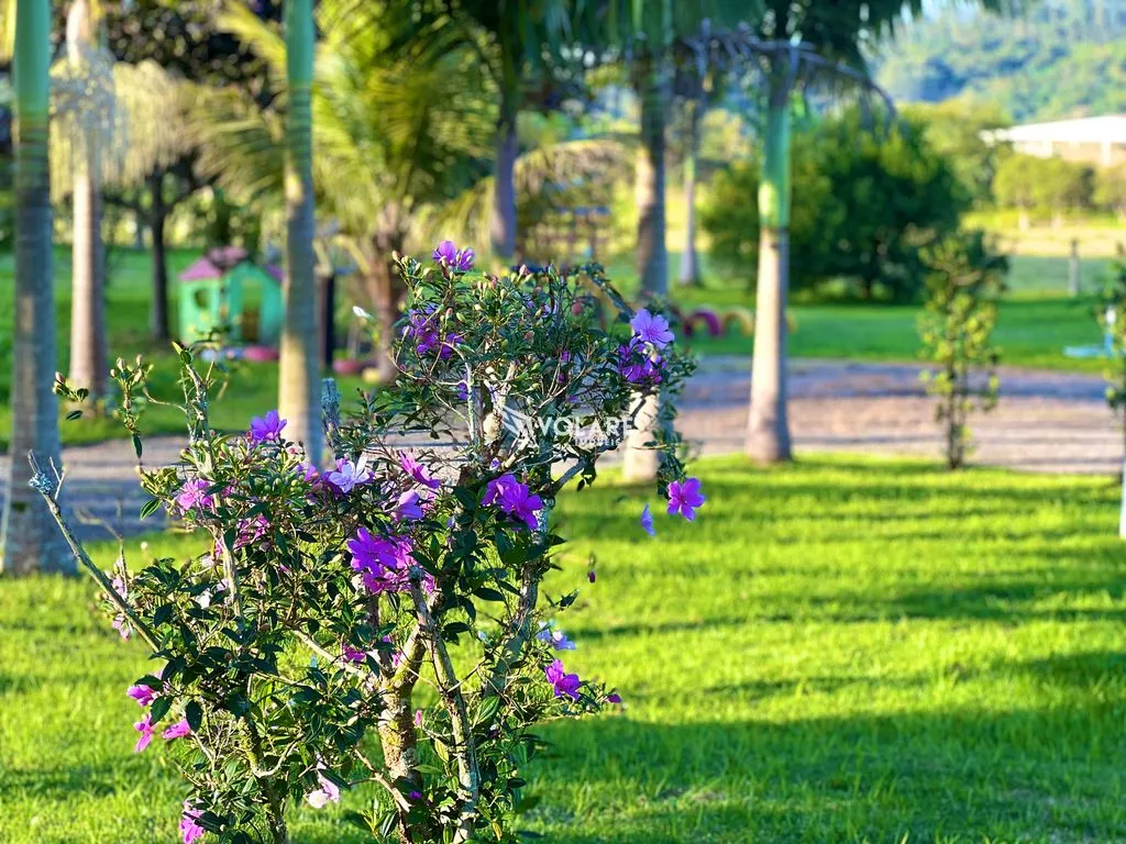 SÍTIO próximo ao morro da Pipa / A menos de 1h de Itapema SC. — foto 7