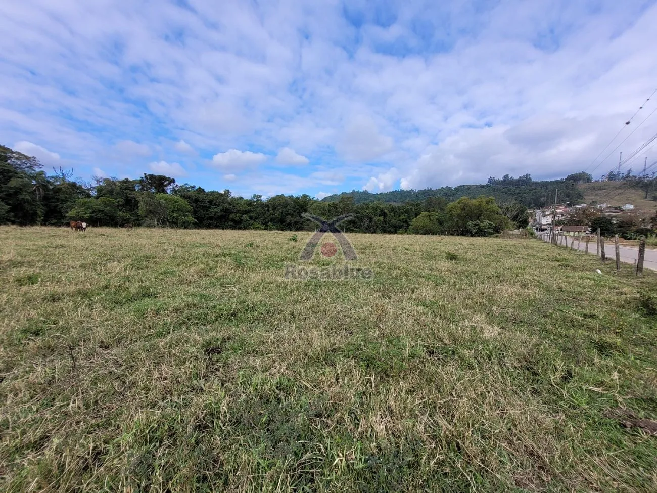 TERRENO NO PRIMAVERA - foto 1