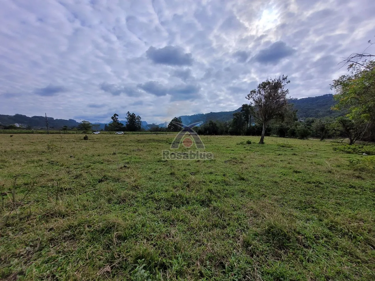 TERRENO NO PRIMAVERA — foto 4