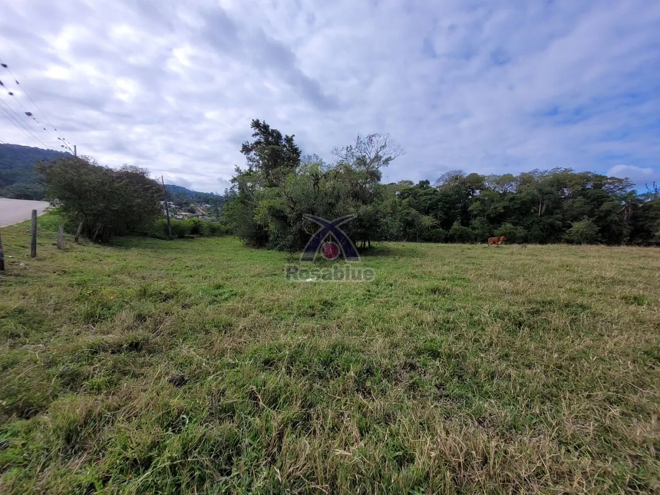 TERRENO NO PRIMAVERA — foto 5