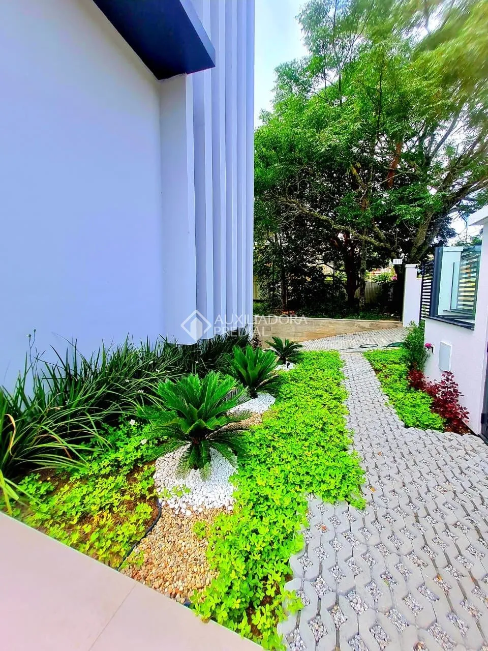 Imóvel — foto 3