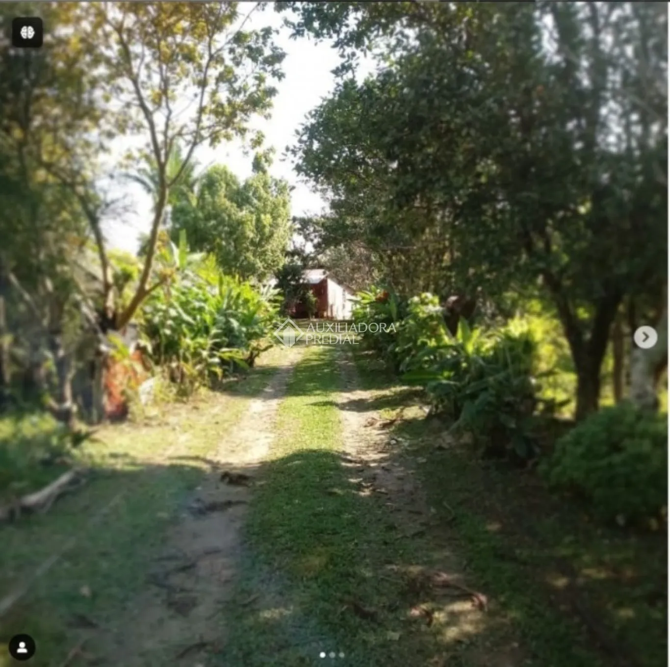 Imóvel — foto 6