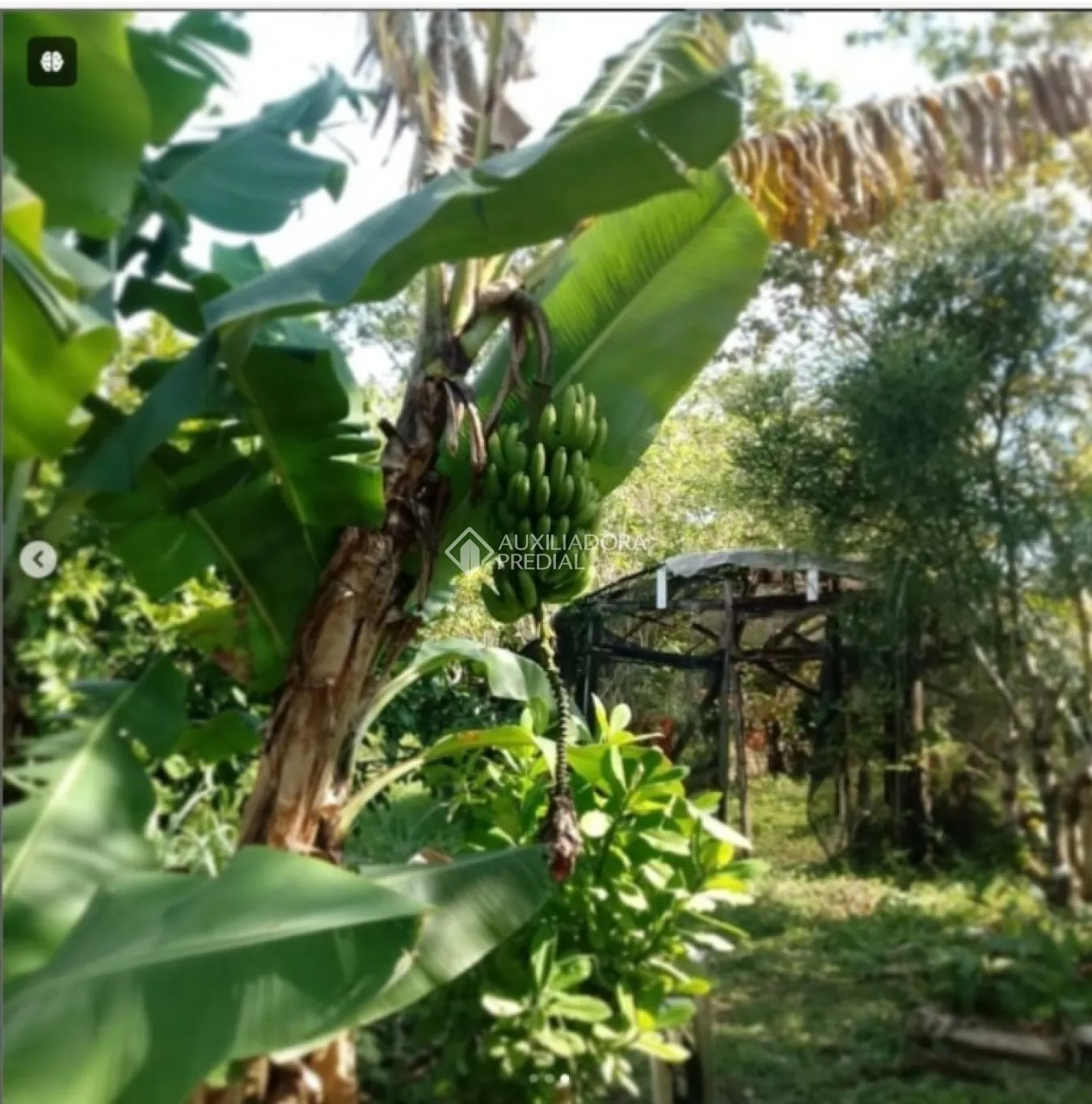 Imóvel — foto 7