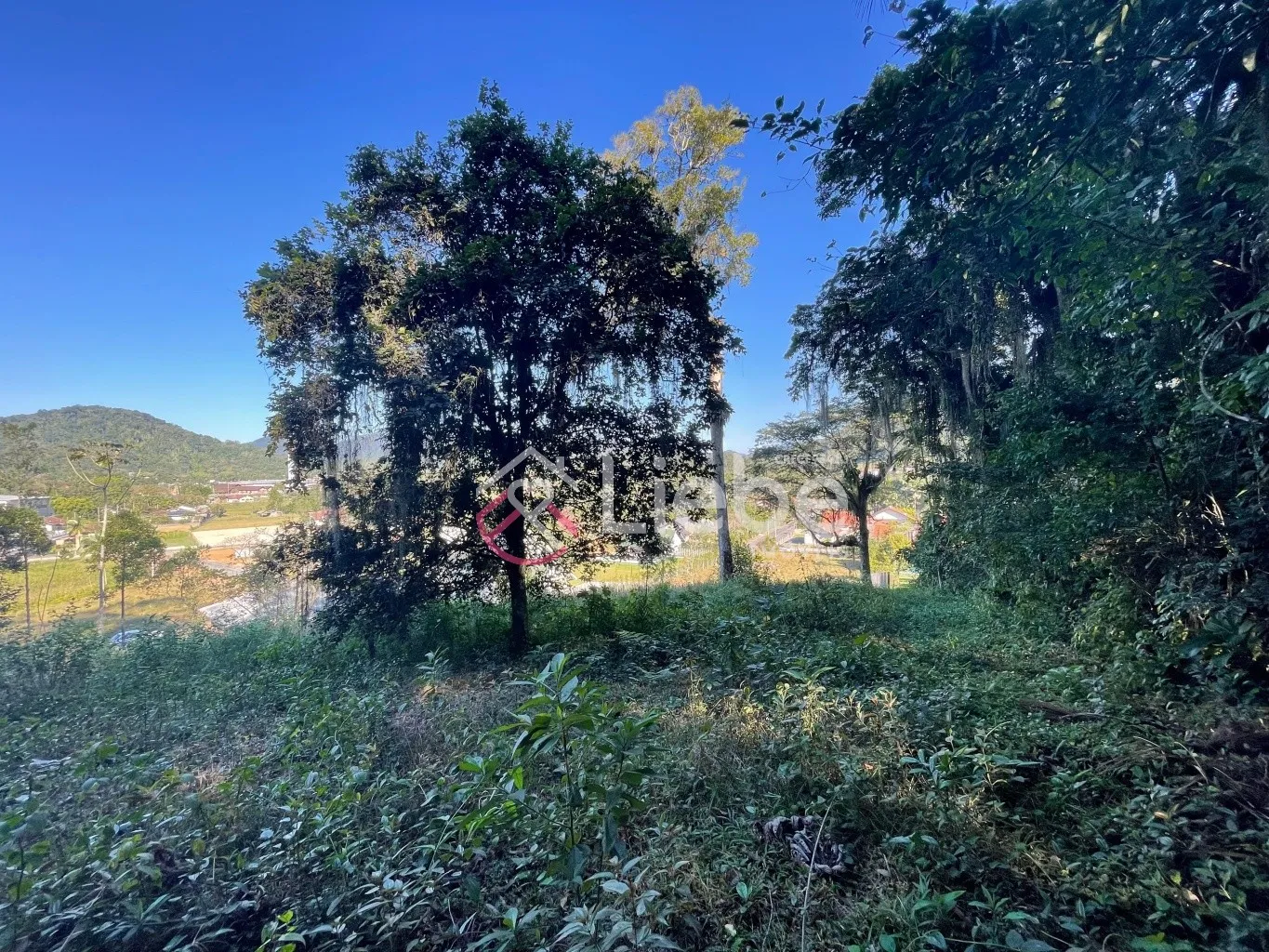 Lindo Terreno na Rota do Enxaimel em Testo Alto na cidade de Pomerode com 4.361,76m. — foto 6