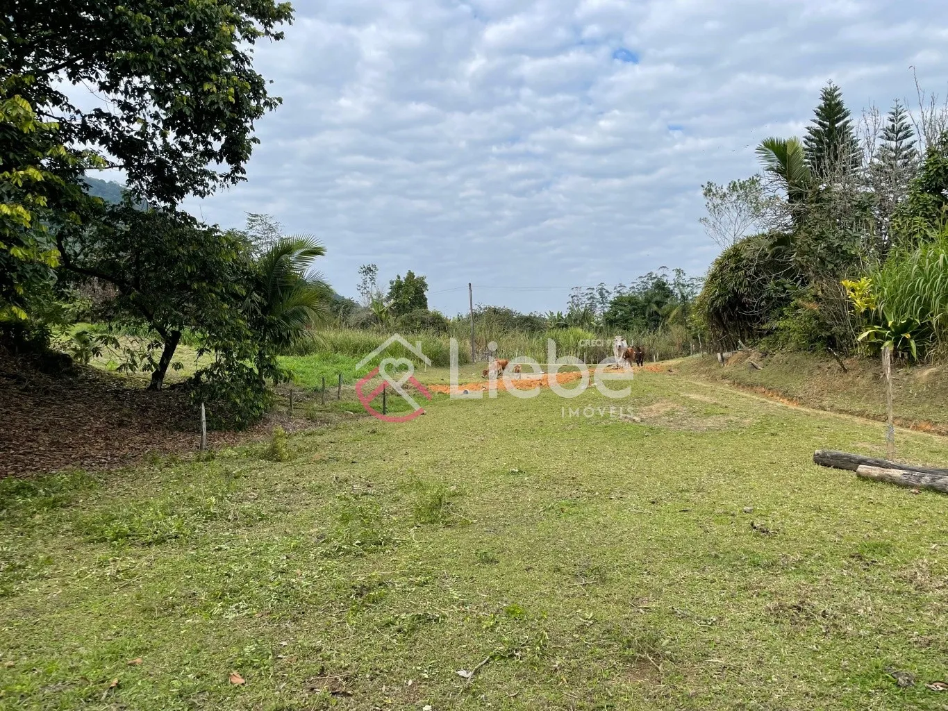 Terreno com viabilidade industrial e residencial no Bairro Vale do Selke na cidade de Pomerode com 34.250,00m. — foto 2