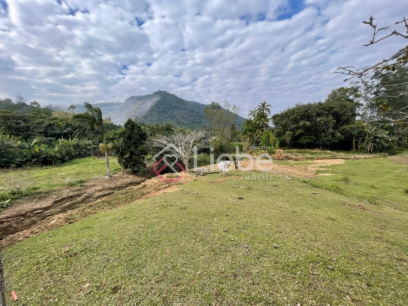 Terreno com viabilidade industrial e residencial no Bairro Vale do Selke na cidade de Pomerode com 34.250,00m. — foto 3