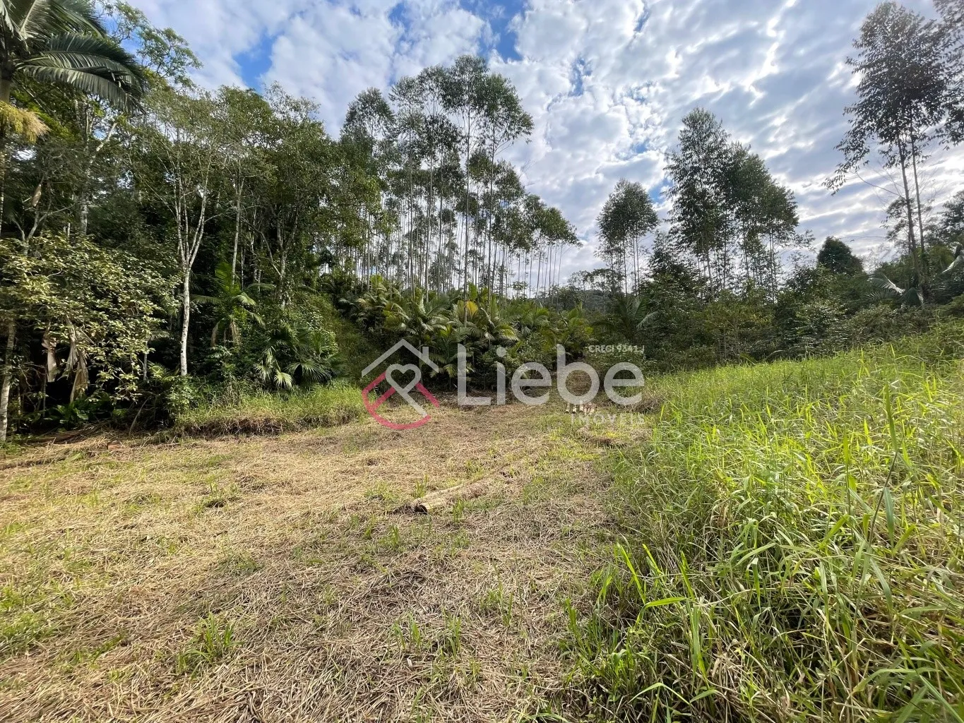 Terreno com viabilidade industrial e residencial no Bairro Vale do Selke na cidade de Pomerode com 34.250,00m. — foto 5