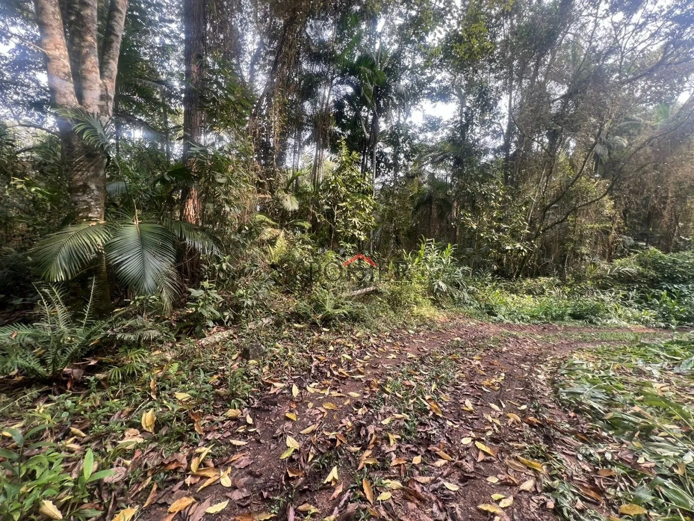 Ampla área de 167.000m à venda - Ideal para sítio ou reserva legal! - foto 1
