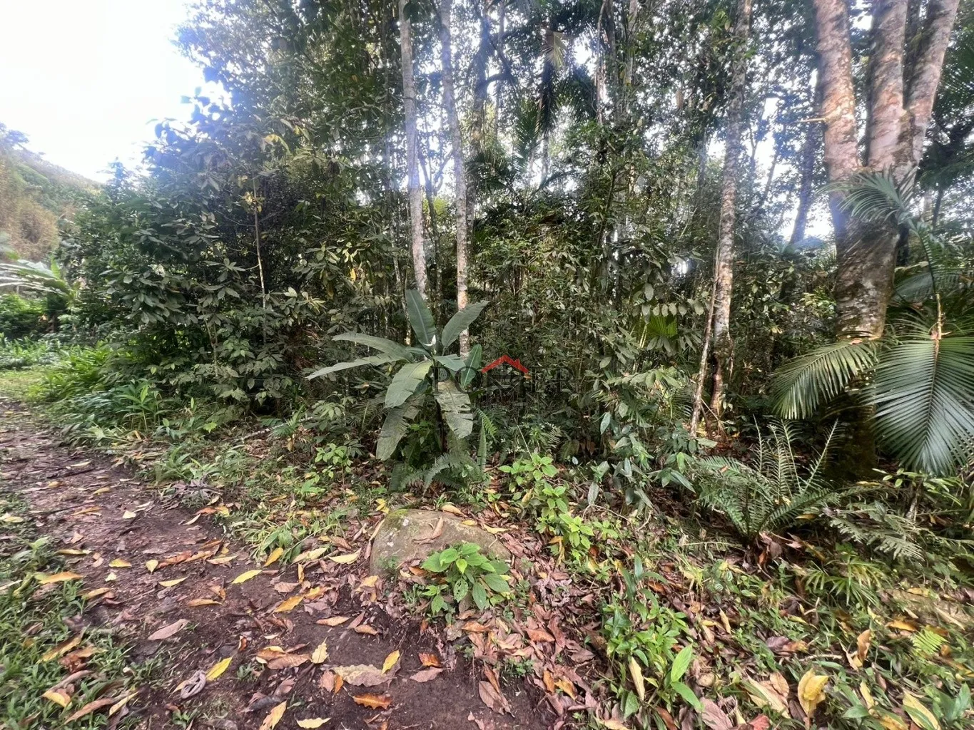 Ampla área de 167.000m à venda - Ideal para sítio ou reserva legal! — foto 2