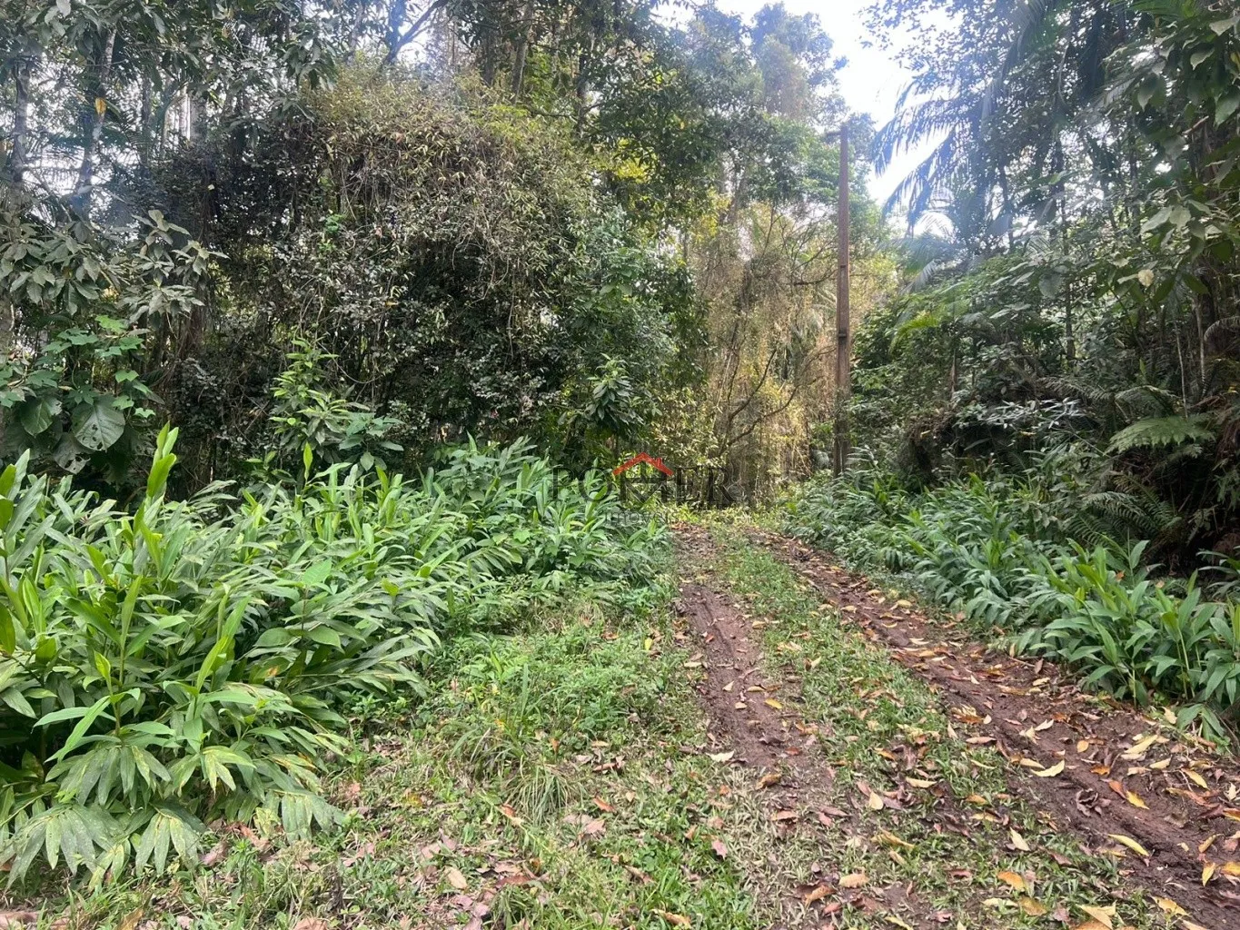 Ampla área de 167.000m à venda - Ideal para sítio ou reserva legal! — foto 6