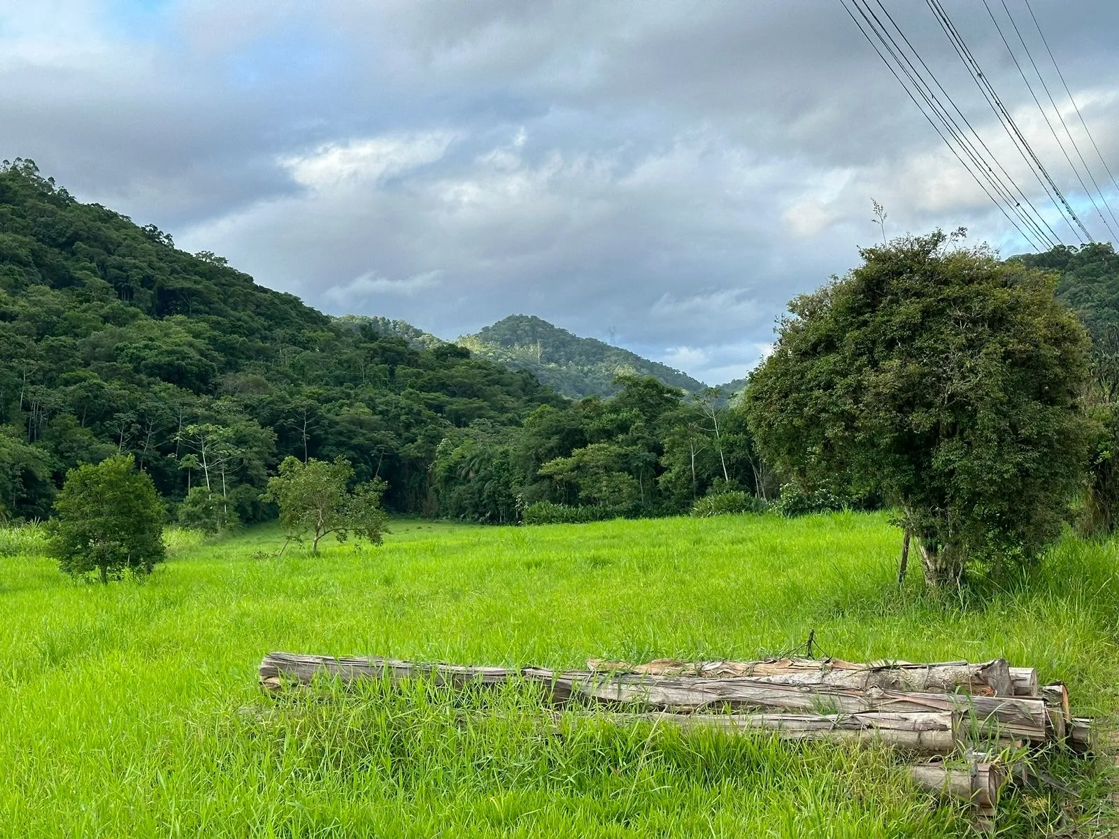 Terreno Plano Testo Rega — foto 2