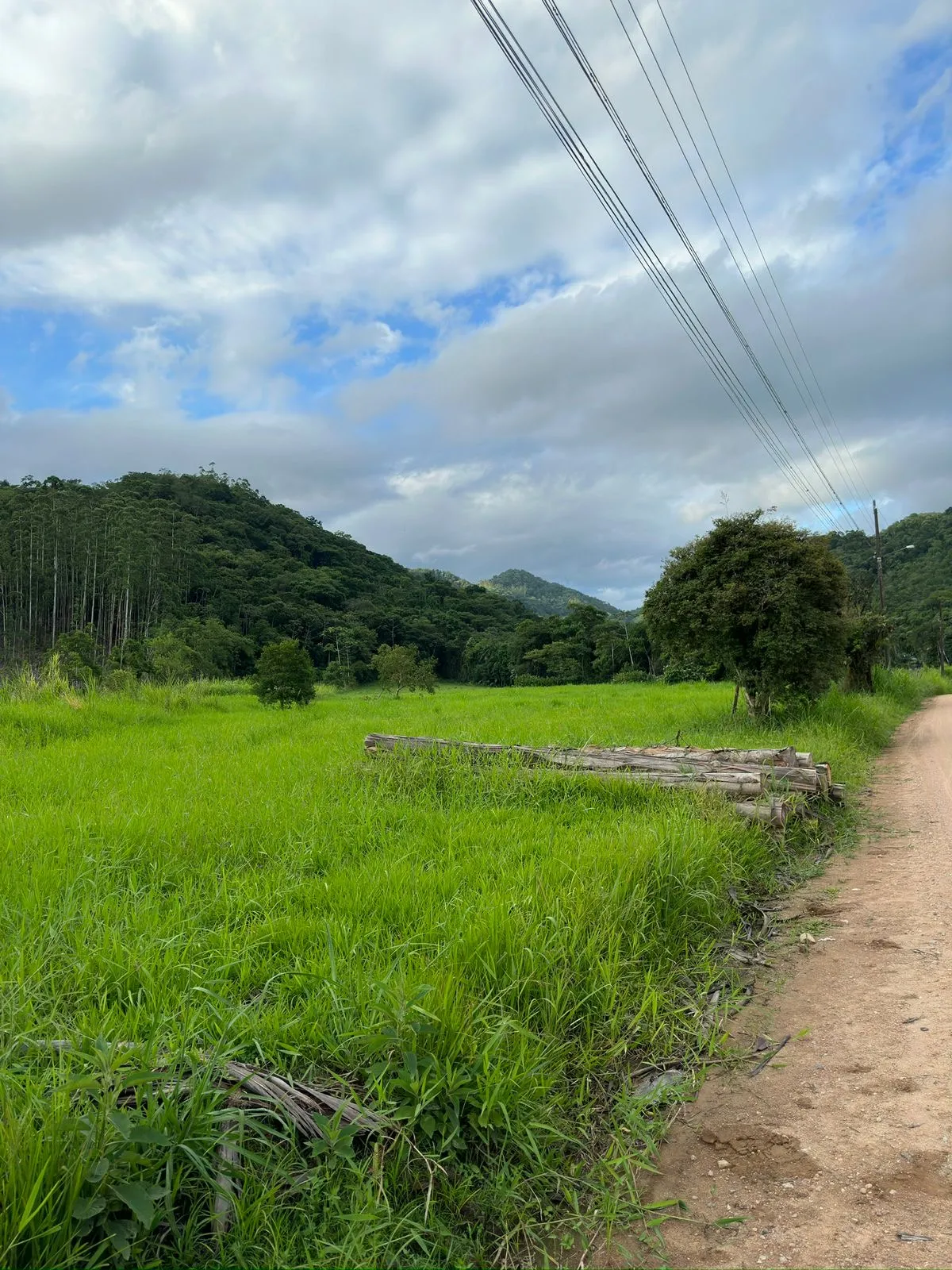 Terreno Plano Testo Rega — foto 3