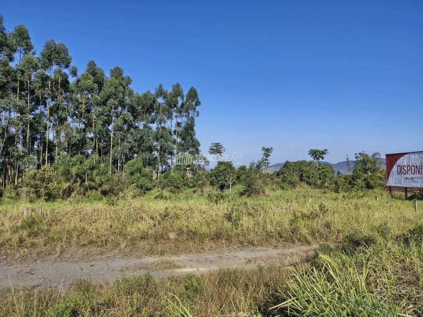 Terreno de 20.000m, fazendo frente em 74,30m com a BR 470 no Km 21 no Baú Baixo em Ilhota SC — foto 3