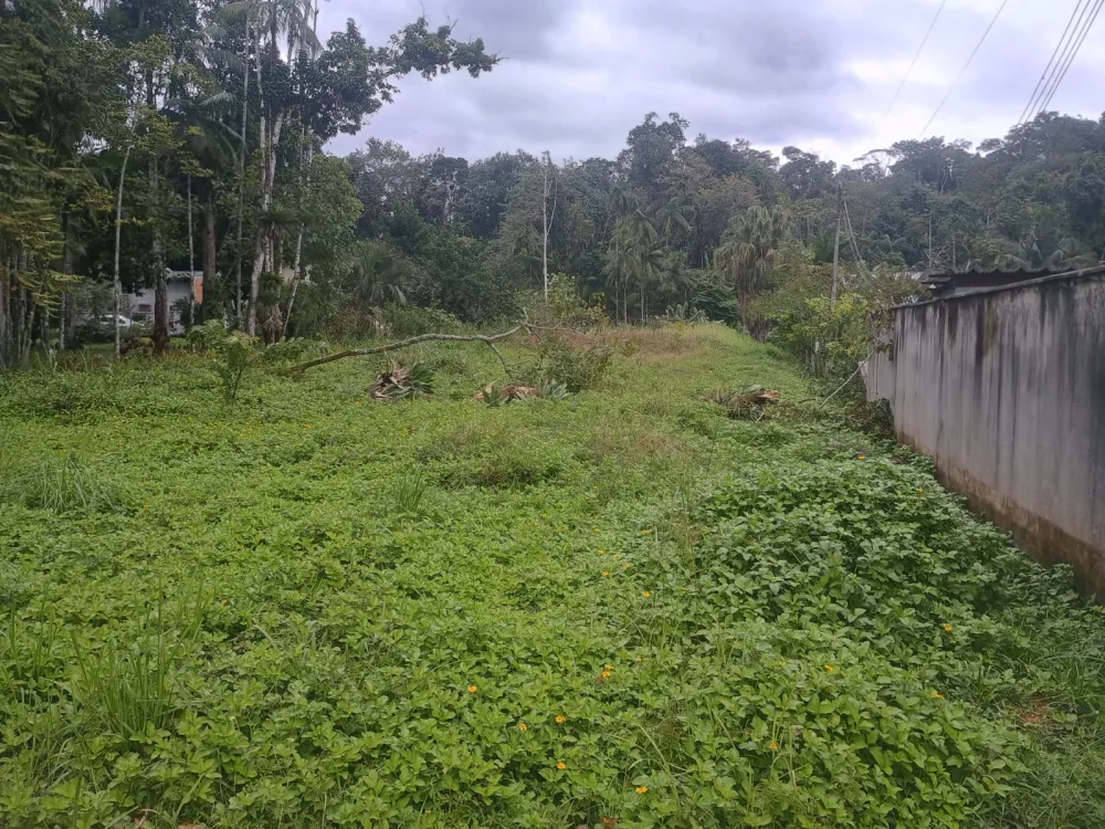 TERRENO 2.000m2 - Residencial / Comercial / Industrial - foto 1