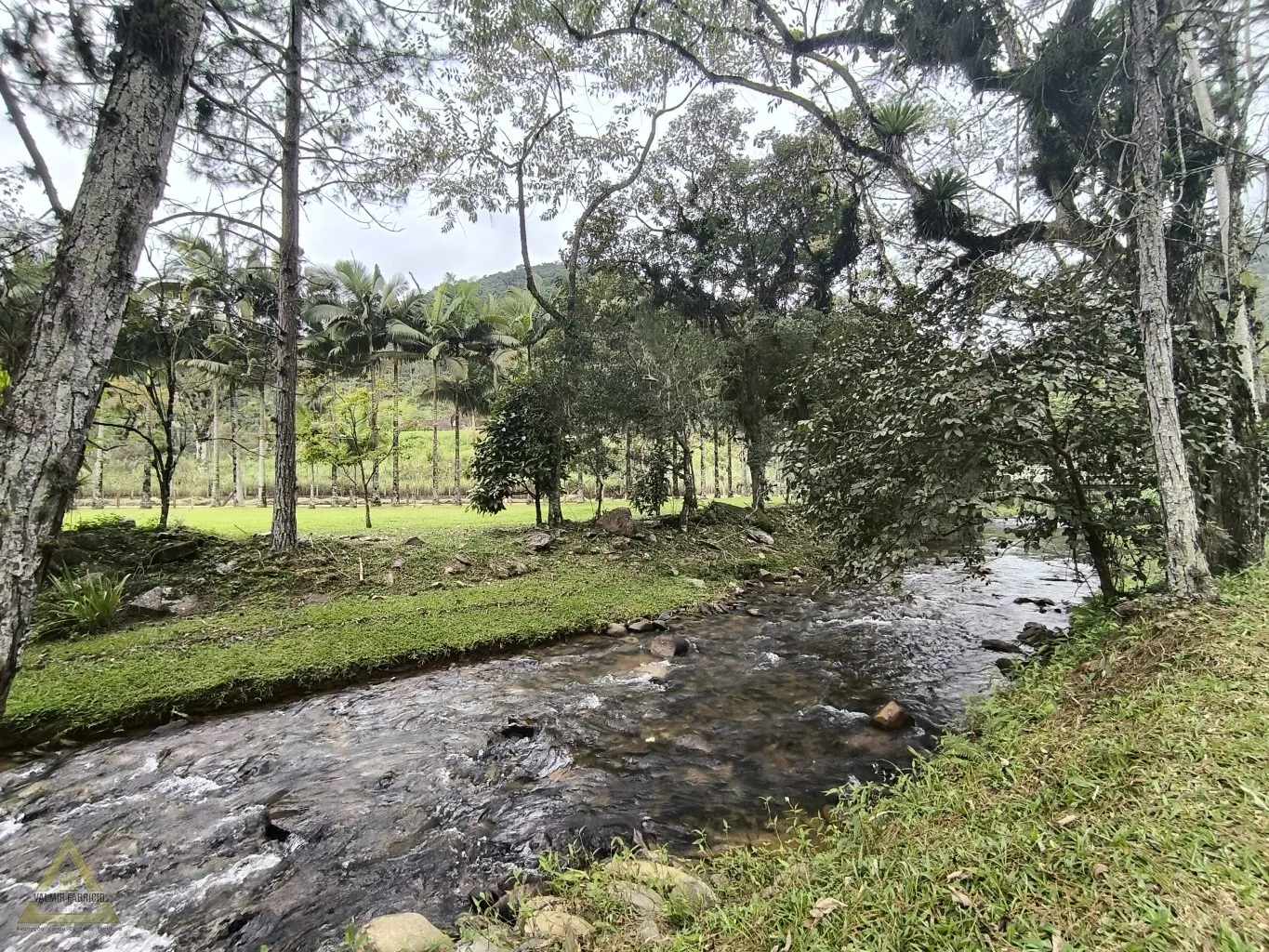 Era uma vez, um Lindo Sítio, localizado no Centrinho da localidade de Gaspar Alto, com fácil acesso para as cidades de Gaspar(14km até a Prefeitura) e de Blumenau (14km até a Prefeitura)! Nas minhas proximidades tem Posto de Saúde, Mercado, Padaria, Restaurant - foto 1