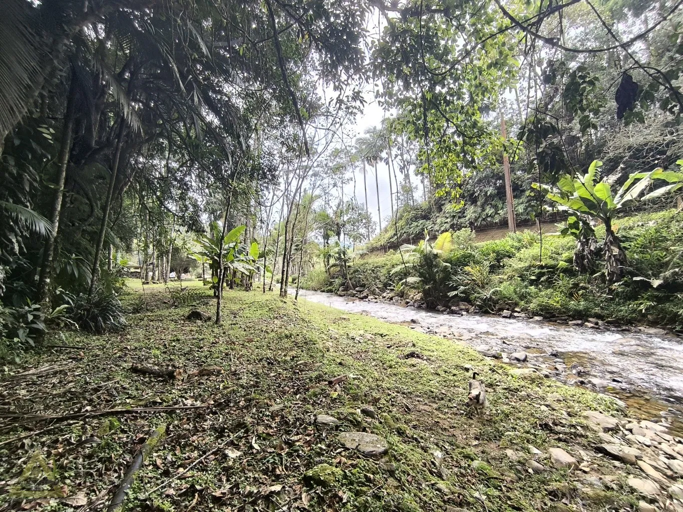 Era uma vez, um Lindo Sítio, localizado no Centrinho da localidade de Gaspar Alto, com fácil acesso para as cidades de Gaspar(14km até a Prefeitura) e de Blumenau (14km até a Prefeitura)! Nas minhas proximidades tem Posto de Saúde, Mercado, Padaria, Restaurant — foto 3