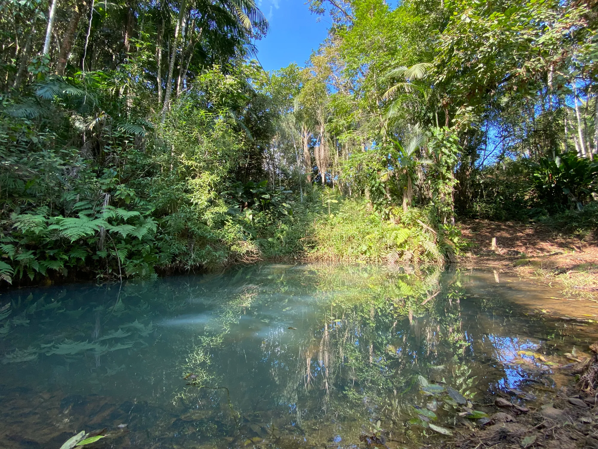 Sítio com casa em excelente localização — foto 6